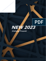 2023 Current - New Model