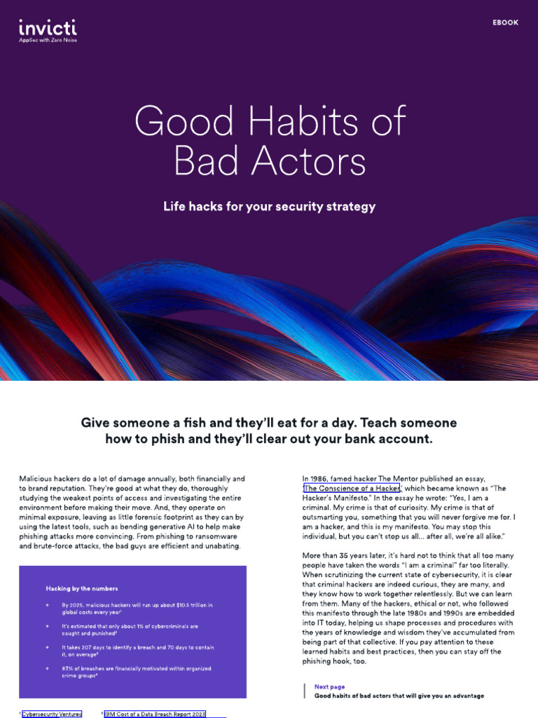 Security Strategies for Bad Actors | PDF