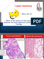 Y3.Female Breast Pathology Lab