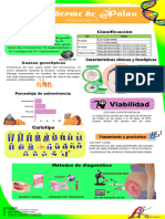 Sindrome de Patau Infografia