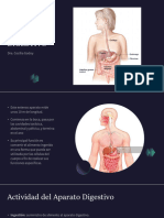 Aparato Digestivo