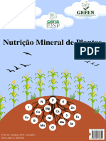 Cópia de Nutrição Mineral de Plantas - GEFEN
