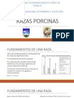 4 Razas Porcinas