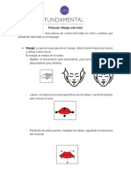 Protocolo Oral Motor