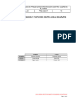 Pg-Hse-17 Programa de Prevención y Protección Contra Caidas de Alturas v2