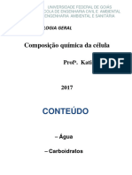 AULA 4 Composição - Quimica - Carb-2017