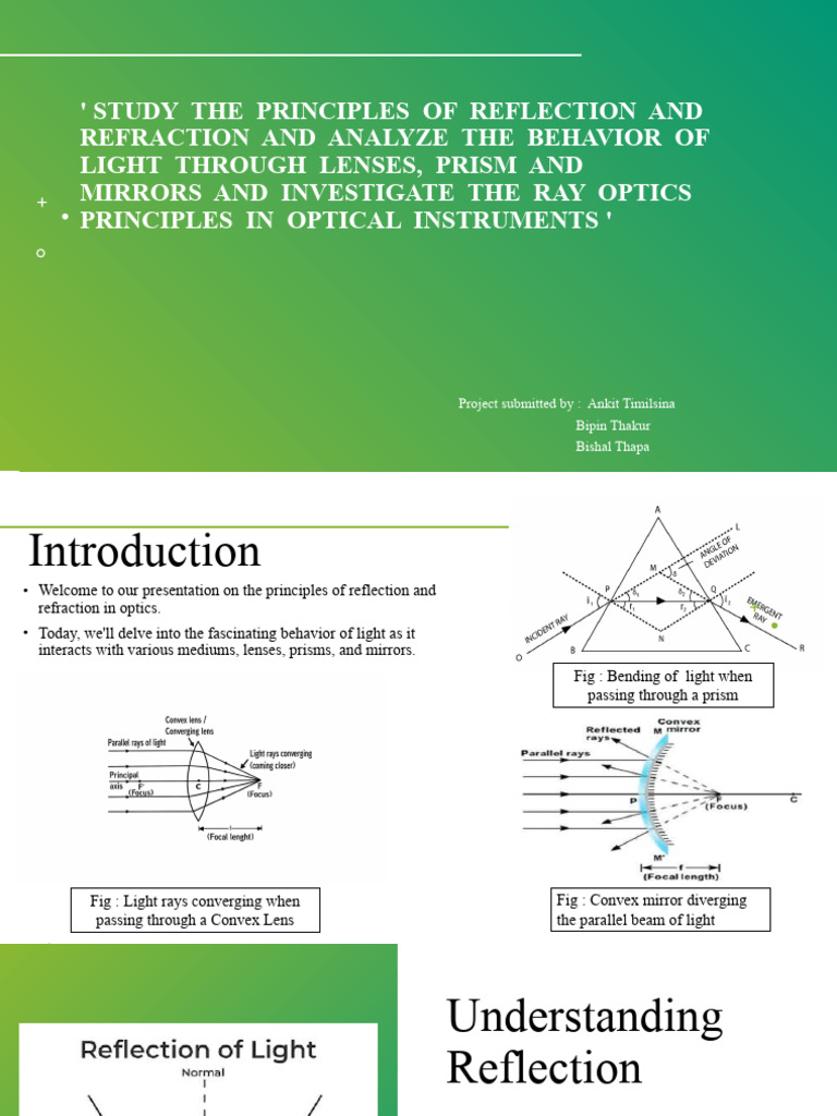 project-submitted-by-ankit-timilsina-bipin-thakur-bishal-thapa-pdf