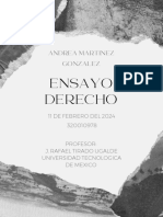 Derecho: Ensayo