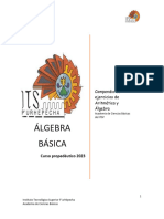 ÁLGEBRA BÁSICA-tema1-23