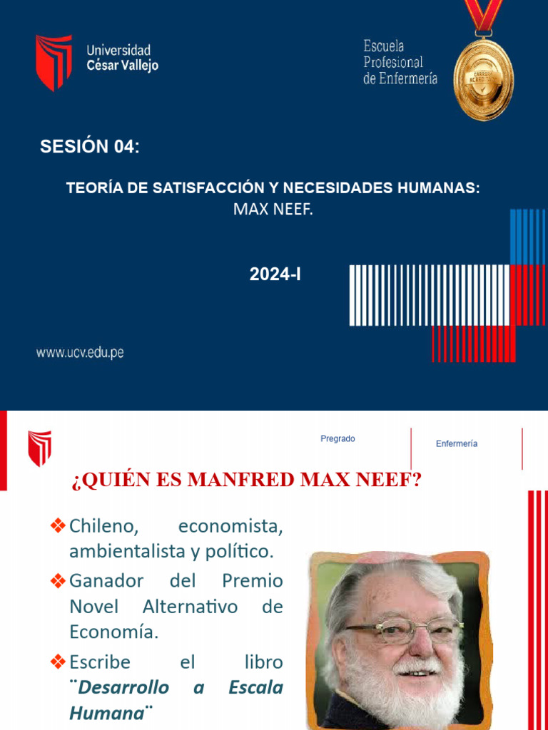 Teoría de Necesidades Humanas de Max Neef | PDF | Relaciones personales ...