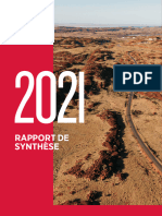 Rapport de Synthese Français