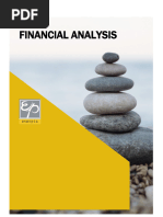 Everpia Financial Analysis Report