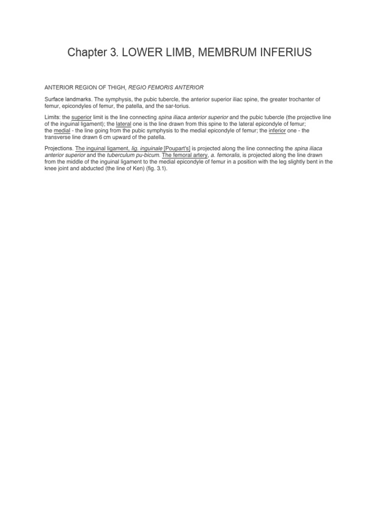 Chapter 3. Lower Limb, Membrum Inferius | PDF | Human Leg | Hip