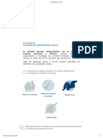 (2604) Borrelia Burgdorferi (Enfermedad de Lyme), Anticuerpos Igg 2