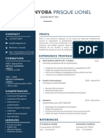 Blue Simple Professional CV Resume