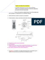 Tubos Fotomultiplicadores