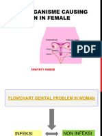 Mikroorganisme Infeksi Genital 2021