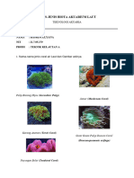 Jenis Biota Akuarium Laut