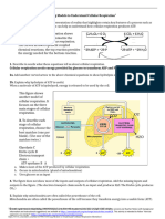 Using Models To Understand Cellular Respiration Short