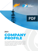 PPI Company Profile 2021 M