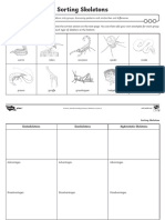 Sorting Skeletons Activity Sheet Black and White