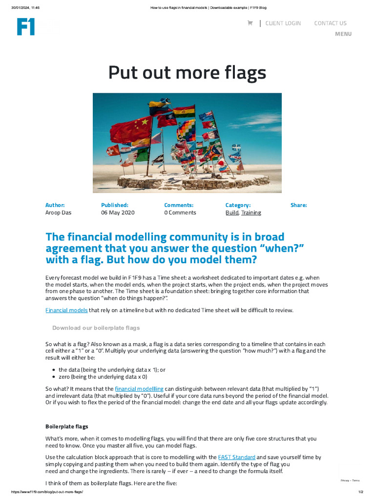 How To Use Flags in Financial Models Downloadable Example F1F9 Blog