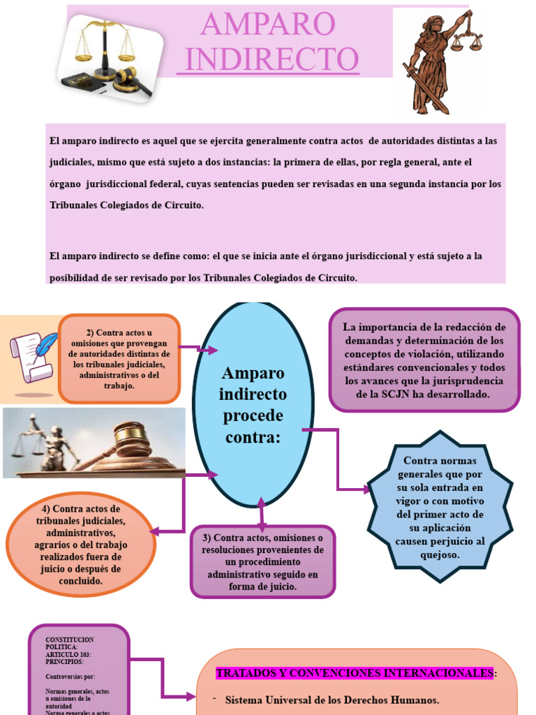 Amparo Indirecto: Procedimiento y Sujetos | PDF | Caso de ley | Justicia