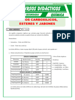 Acidos Carboxilicos y Esteres para Quinto de Secundaria