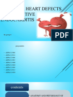 Valvular Heart Defects and Infective Endocarditis-3