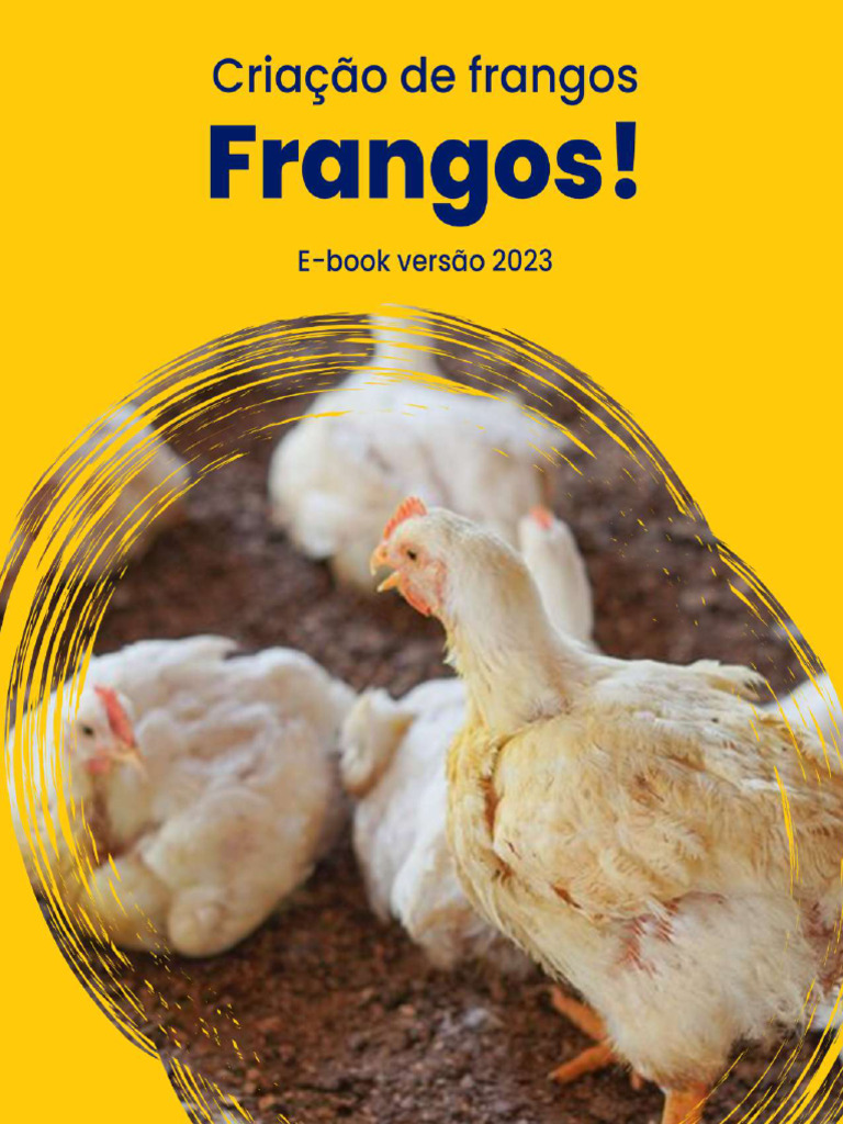 Guia Prático para Criação de Frangos em Moçambique | PDF | Ovo ...