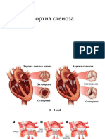 Ao пороци