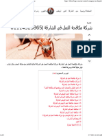 شركة مكافحة النمل في الشارقة 01114323865 - Dubai Bugs