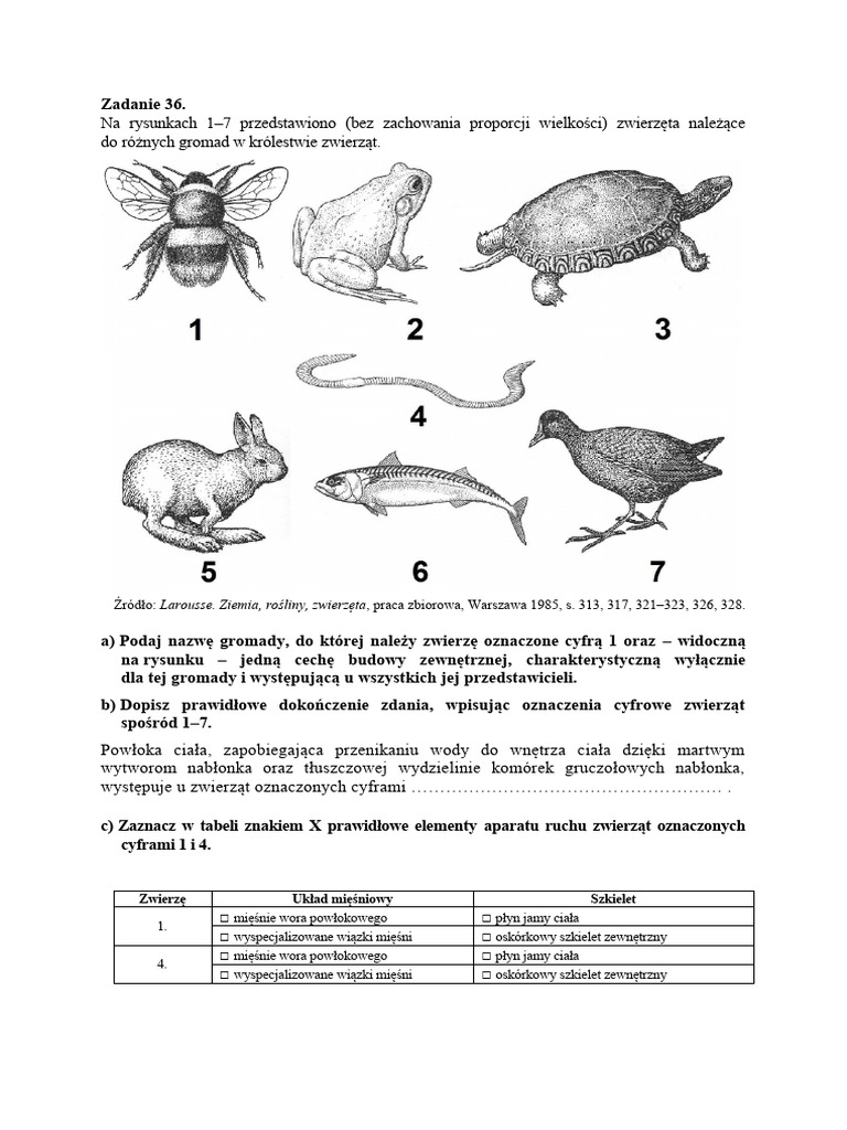 Nazwy Zwierząt Z ó Wymiennym Zwierz Ta | PDF