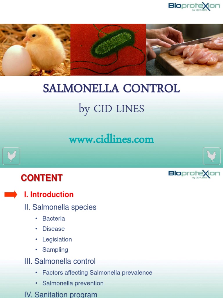 Salmonella Control in Poultry Farming | PDF | Salmonella | Veterinary ...