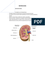 NEFROLOGIA