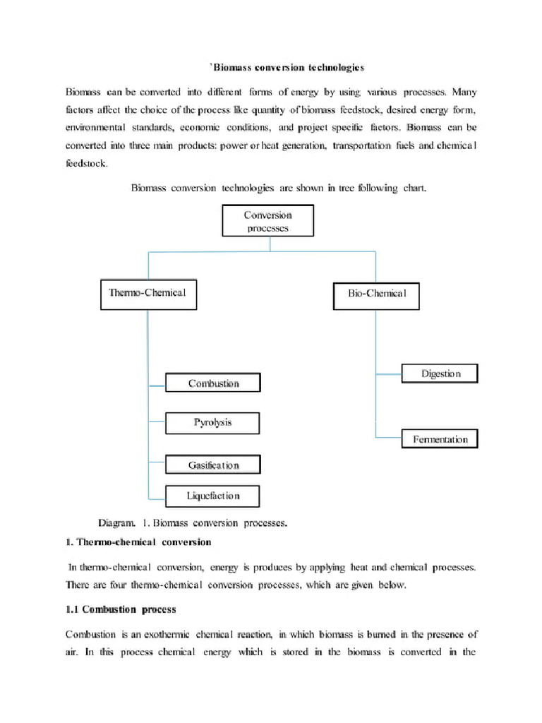 Biomass Conversion Technologies | PDF