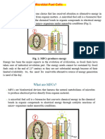 Microbial Fuel Cell - 08