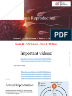 8 - Human Reproduction - G12 - G12 - DR Ross-1