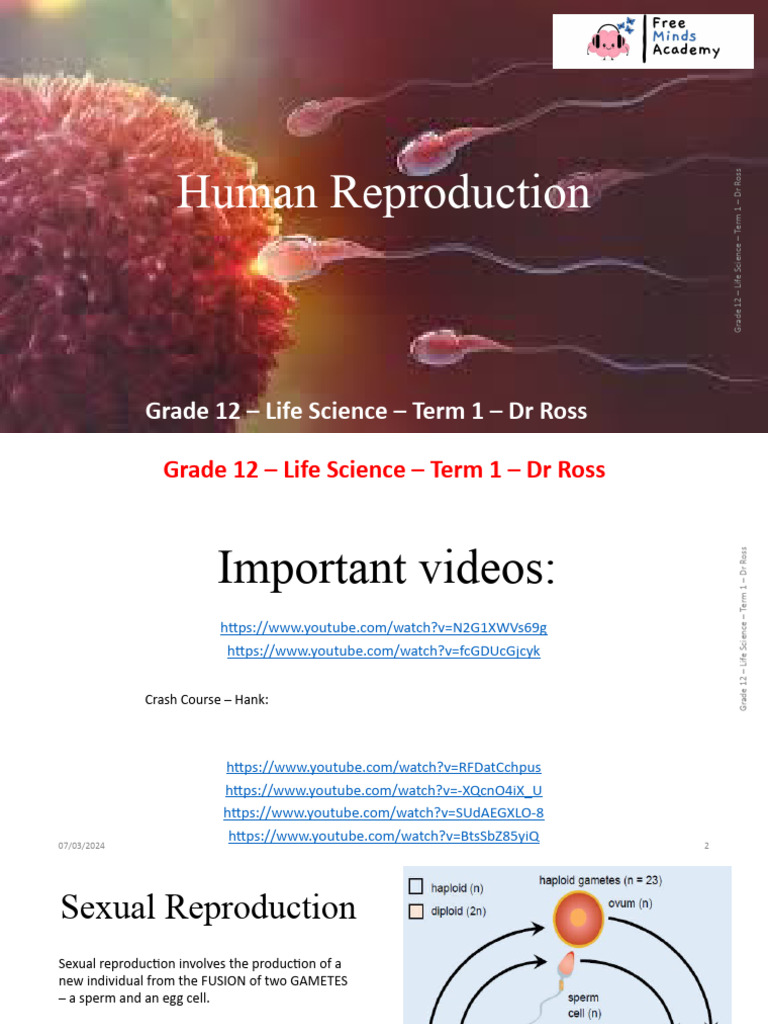 Grade 12 Human Reproduction Overview | PDF | Meiosis | Sexual Reproduction