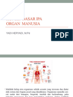 Konsep Dasar Ipa Organ Hewan Dan Manusia