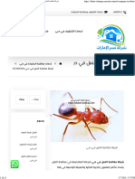 شركة مكافحة النمل في دبي 0551811305 - شركة نسر الإمارات 0551811305