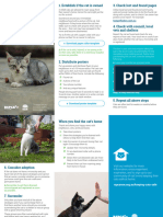 DL - Brochure - If You Find A Cat - WEB