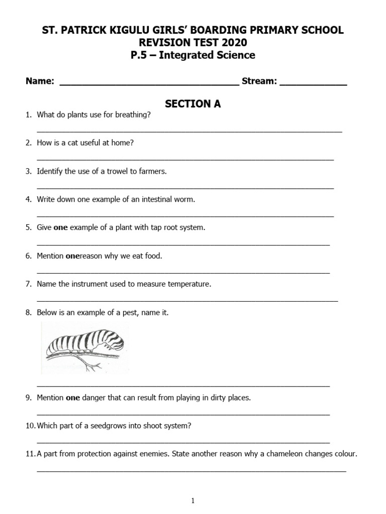 P.5 Science Revision Test 2020 | PDF | Flowers | Pollination