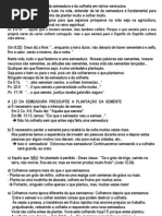 A Lei Da Semeadura - Resumo