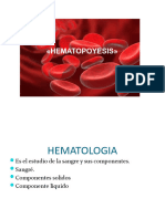 Hemat - Hematopoyesis