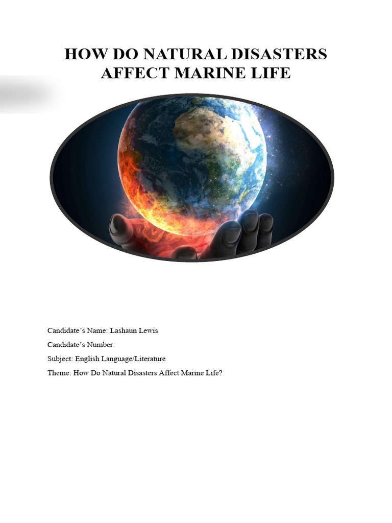 How Do Natural Disasters Affect Marine Life | PDF