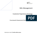 Summative Assessment Brief - Customer Experience Strategy