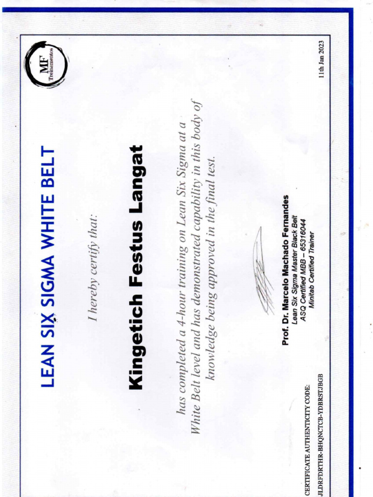 Lean Six Sigma White Belt | PDF
