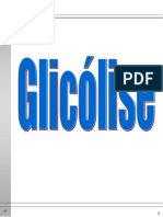 Aula 1 - Glicolise