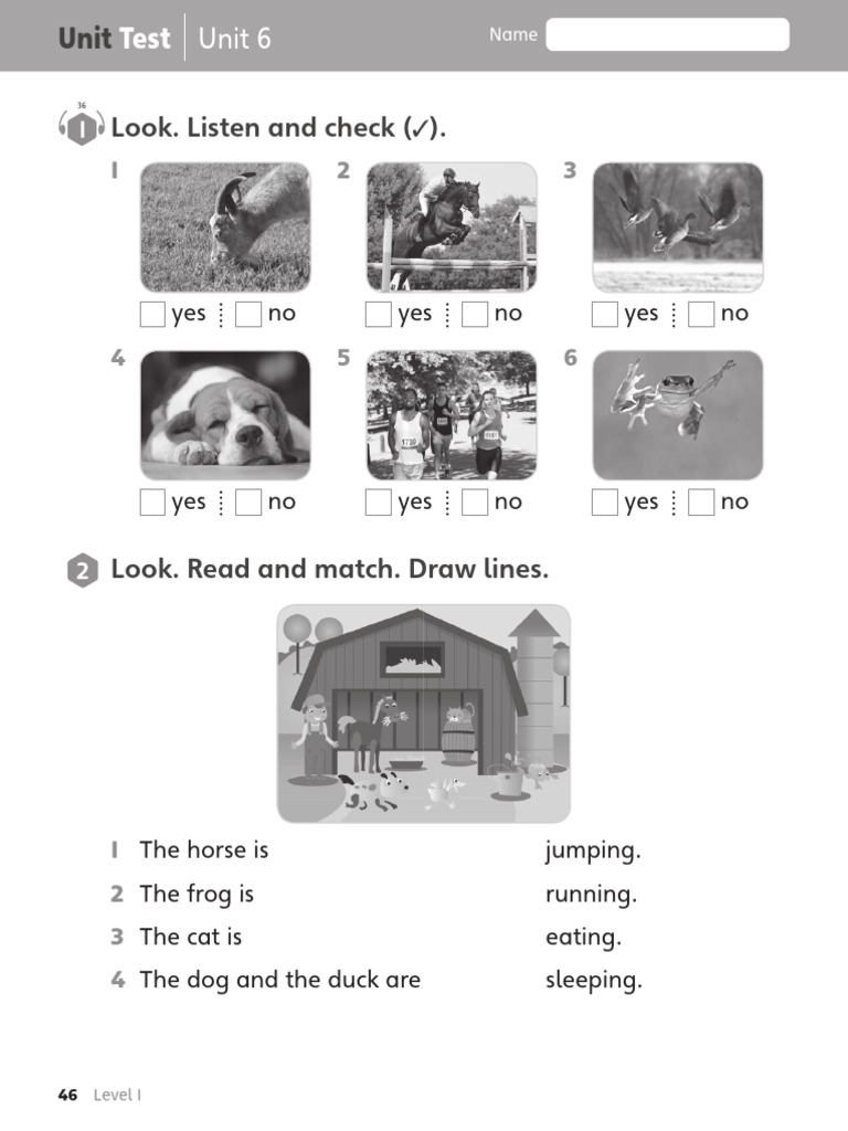 Unit 6 Level 1 Test | PDF